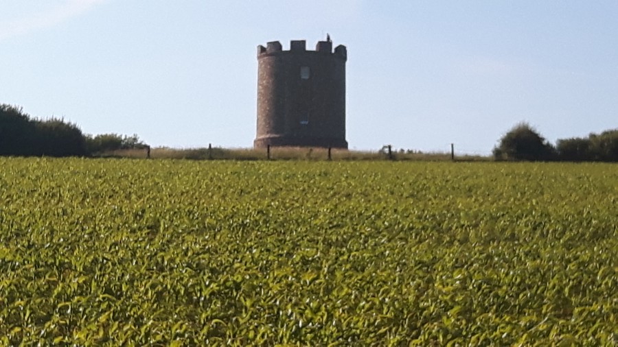 Firle Folly