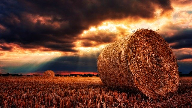 hay roll in field with storm clouds