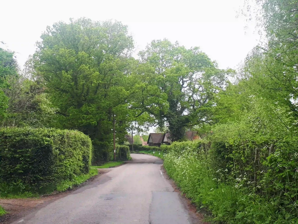 Road towards pretty cottage