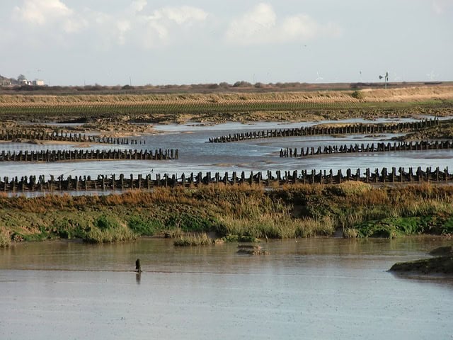 top 10 essex walks