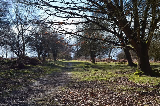 top 10 walks in west midlands