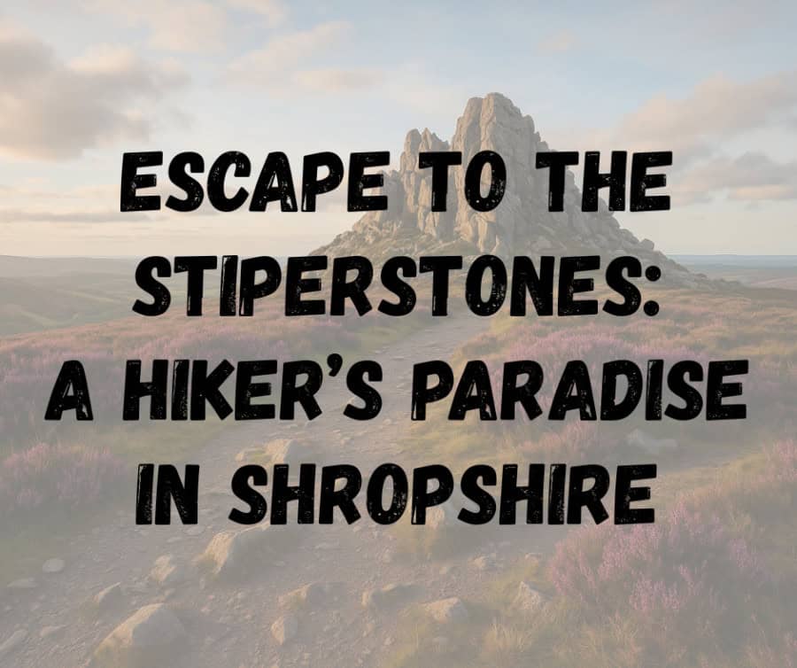 The Stiperstones