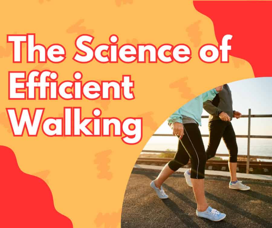 The Science of Efficient Walking