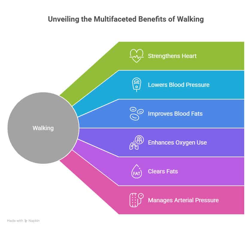 walking and cardiovascular health